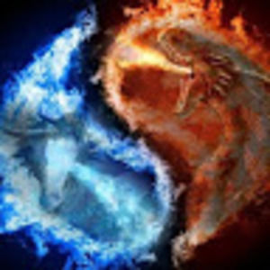 Meet your Posher, Expirements for life